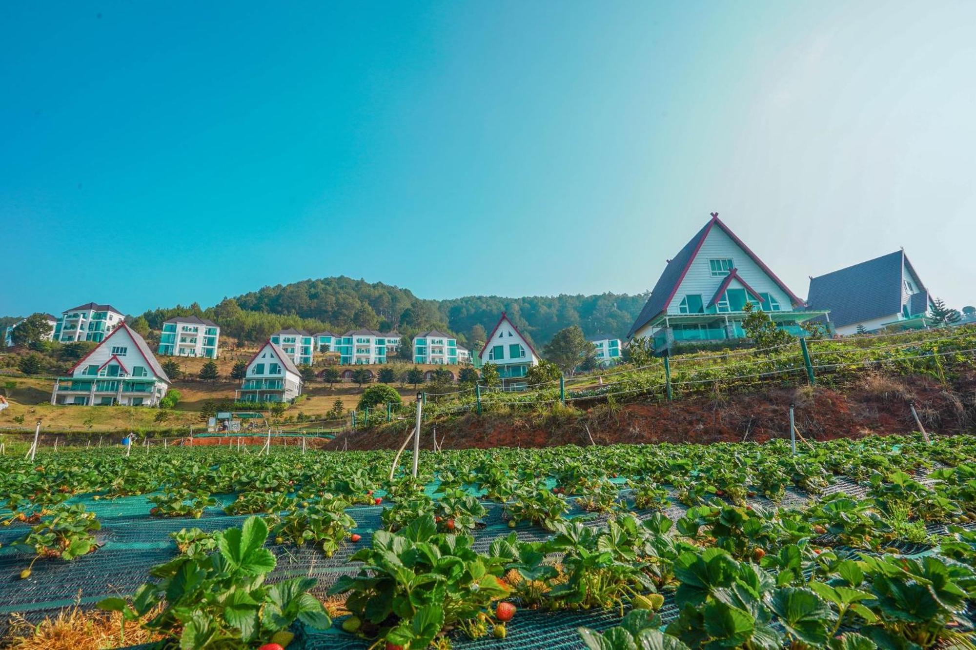 Dalat Wonder Resort Luaran gambar